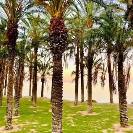 Ventana Al Mar Pool And Access With Elevator Apartamento